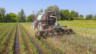 Distribuzione Digestato su Mais 🌽 Case IH Maxxum 130  Overtruck I [upl. by Ogawa]