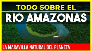 🔴 TODO SOBRE EL RIO AMAZONAS 🔴 LA MARAVILLA NATURAL DEL PLANETA 🌲 WAMAN ADVENTURES [upl. by Marieann]