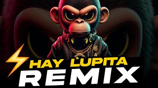 HAY DIGAME LUPITA  GUARACHA Remix  Cuanto Quiere Por La Cosita DJ MORPHIUS ALETEO PEDRO MEXA 2024 [upl. by Ddat]