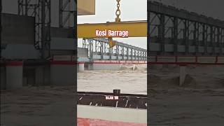 RAJAK 10K barrage Koshi Barrage 😱😱😱😱😱😱😱 [upl. by Suoirad]