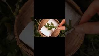 🌿Traditional Korean SPA using Mugwort🌿 korean spa traditional [upl. by Necila]