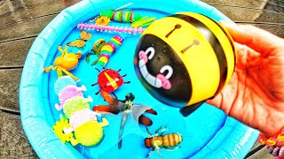 Learn Bugs Insects Names for Babies Toddlers Preschoolers Kids Caterpillar Mosquito Spider [upl. by Edahs]