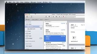 How to take offline the mail accounts of Mail app in Mac® OS X™ [upl. by Gastineau]