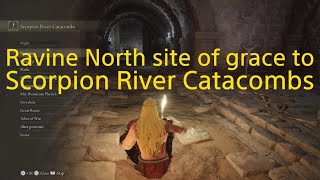 Elden Ring dlc  Ravine North to Scorpion River Catacombs [upl. by Ahsiek]