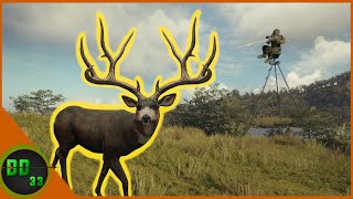 The LEGENDARY Muzzleloader Mule Deer Hunt Call Of The Wild [upl. by Ethelyn]