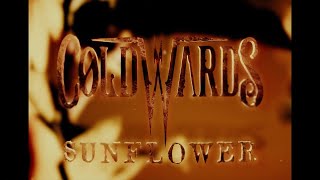 Coldwards  Sunflower Official Video [upl. by Trude]