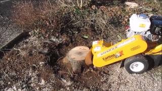 Carlton 900H stump grinder [upl. by Luedtke]