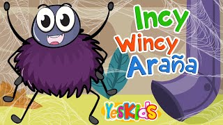 Incy Wincy Araña  Canciones para niños en Español  YesKids [upl. by Akenot]