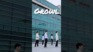 EXO엑소 으르렁Growl🐶 shorts kpop exo growl [upl. by Fredrika]