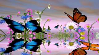 Fantastic Butterfly Screensaver httpwwwscreensavergiftcom [upl. by Llenehs]