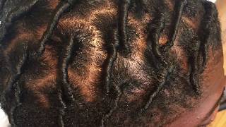 Starter Locs How to start locs on Short curly hair [upl. by Karry]