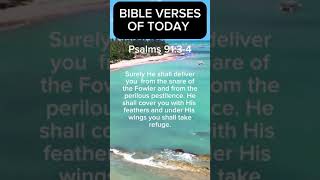 Psalms 91 prayer for protection biblejourney christianbiblestudy faithjourney [upl. by Armmat648]