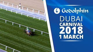 Highlights of TeamGodolphins Dubai World Cup Carnival at Meydan [upl. by Uwkuhceki]