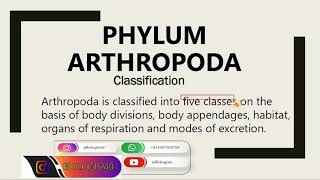 Phylum Arthropoda  General Characteristics and Classification [upl. by Airdnal]