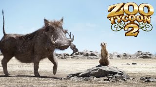 Zoo Tycoon 2 Warthog amp Meerkat Exhibit Speed Build [upl. by Hait]