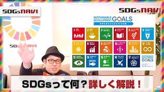 SDGsとは？17の目標って何？？詳しく解説しちゃいます。 [upl. by Dotson123]