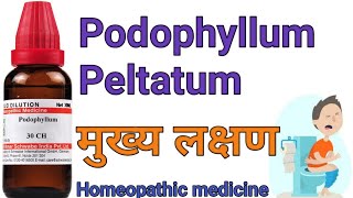 Podophyllum Peltatum 30200 homeopathic medicine symptoms amp uses in hindi [upl. by Suh]