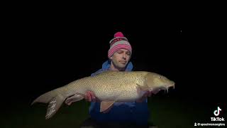 Barbel fishing river trent [upl. by Sivla742]