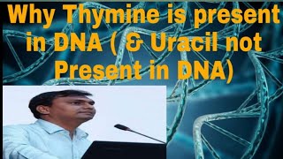 Why thymine in DNA  Not Uracil in DNA biochemistry genetics [upl. by Eri542]