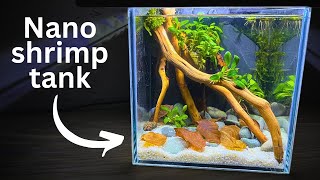 Easy Nano Shrimp tank Stepbystep tutorial for beginners [upl. by Haidabez]