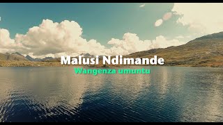 Malusi Ndimande  Wangenza umuntu Official Lyric Video [upl. by Hyacintha]