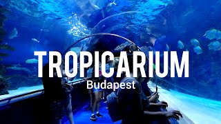 Tropicarium Budapest [upl. by Innoj]