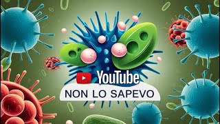 Come il Corpo Combatte le Infezioni Batteriche – Segreti delle Difese Immunitarie [upl. by Eneroc]