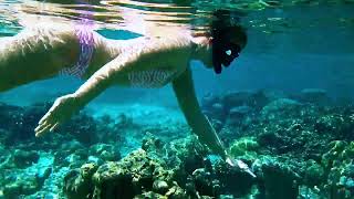 Snorkelling at Furaveri Maldives Ep 1 [upl. by Hathaway276]