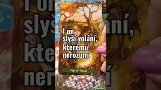 💖Klíč k tvému srdci💖výkladkaret tarot vykladkariet love łaska shortsvideoreels reelsvideos [upl. by Ivette]