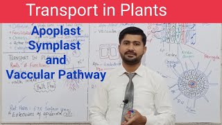 AS level G16 Uptake of water and transport across roots Ms Cooper [upl. by Yelich]