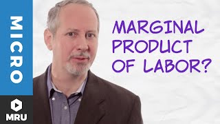 The Marginal Product of Labor [upl. by Guillermo]