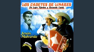 Corridos de los Perez [upl. by Liemaj]