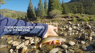 Dispersed Camping and Fishing on Independence Pass  North Fork Lake Creek  Fly Fishing August 2020 [upl. by Aigroeg485]