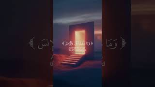 The Essence of our existence qurantohumanity قرآن راحةنفسية quranrecitation [upl. by Sidell]