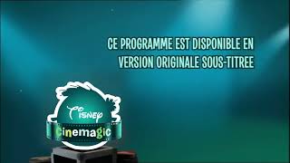 Tisney Cinemagic France Movie Contains Subtitles  Ident 20172025 [upl. by Lirrad]