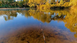 Float fishing for perch [upl. by Luanni]