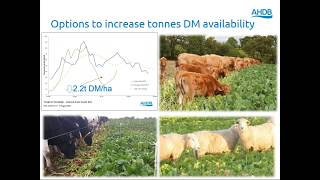 Webinar Utilising the Recommended Grass and Clover Lists for reseeding [upl. by Laureen]