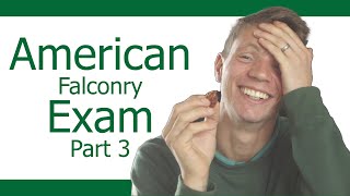 English Falconer Attempts American Exam Part 3 [upl. by Zoie848]