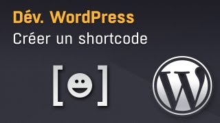 Wordpress  ajouter et créer un shortcode [upl. by Llerahc26]