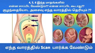 Second Trimester of Pregnancy in Tamil  2nd trimester pregnancy week by week in tamil 18 to27week [upl. by Nylatsyrk]