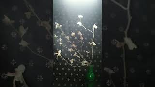 Candle Wax flower making  DIY wax flowers viralvideo viralshorts viralsong goldensparrow [upl. by Pavior]