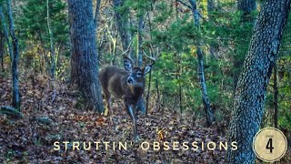 BIG BUCK AT 10 STEPS  Muzzleloader HUNTING Virginia WHITETAILS [upl. by Netram]