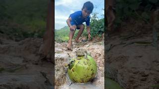 Survival Skills SIMPLE and USEFUL with winter melon bushcraft camping outdoors [upl. by Kacy573]