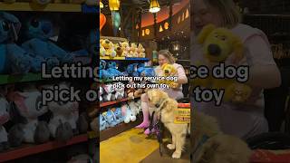 Service dog PAYS for his own toy servicedog dogshorts dogsofyoutube [upl. by Buffo]