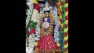 shortsvideo devotionalsongs viralshort viralshorts trandingshorts trending ganapati [upl. by Conias385]