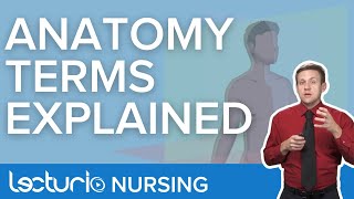 Anatomy Terminology Explained  Lecturio Nursing Anatomy [upl. by Nylcoj376]