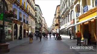 LA CALLE ALFONSO I DE ZARAGOZA [upl. by Ruenhcs904]