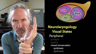 Visual Neurolaryngology  Part IV lateral cricoarytenoid muscle [upl. by Lomax]