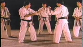 World Oyama Karate [upl. by Eseneg]