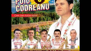 Puiu Codreanu  Mai nevastă mai muiere  album 2012 [upl. by Dimond158]